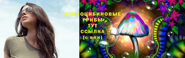 кокс Алексин