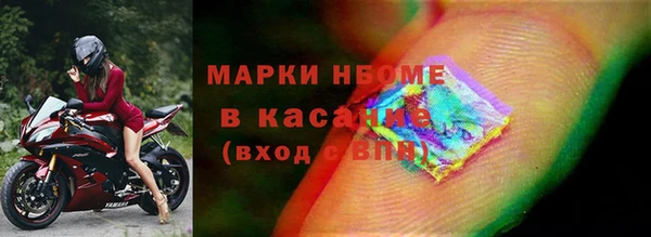 индика Алзамай