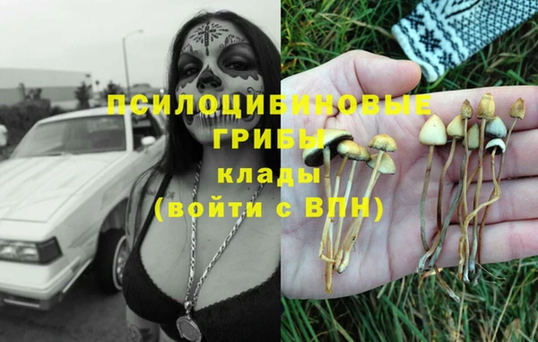 индика Алзамай