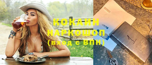 индика Алзамай