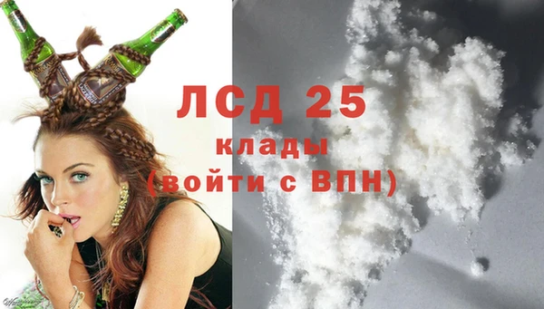 индика Алзамай